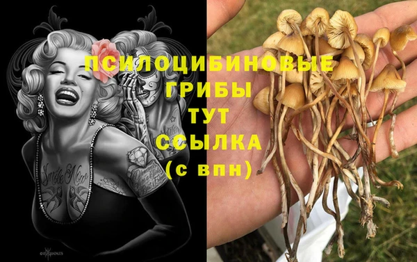 прущий лед Алзамай