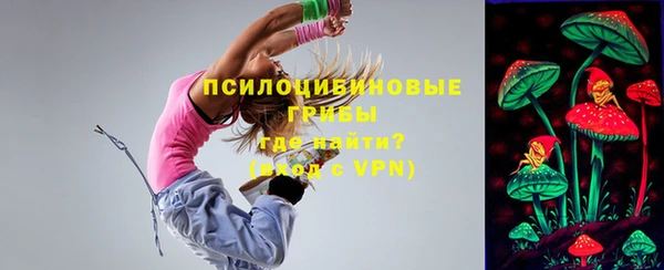 прущий лед Алзамай