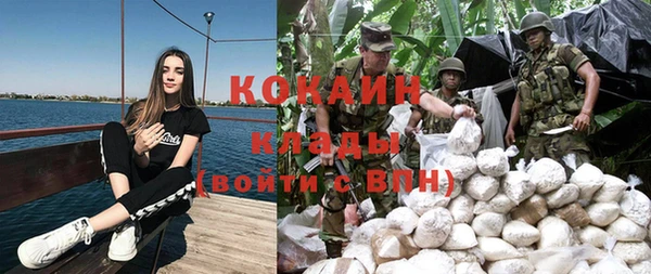 прущий лед Алзамай